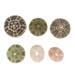 6 Pcs Sea Urchin Shell with Pineapple Shells Air Plant Pot Plants Indoor Pots Natural Planters for