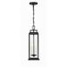 ASP-8915-MK-Crystorama Lighting-Aspen - 4 Light Outdoor Pendant-20.5 Inches Tall and 6.5 Inches Wide