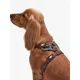 Barbour Tartan Adjustable Dog Harness, Multi