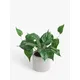 John Lewis Artificial Trailing Plant & Concrete Pot