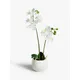 John Lewis Artificial Small White Orchid