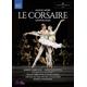 Naxos DVD Corsaire [DVD REGION:1 USA] USA import