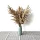 Slowmoose Pampas Grass Dried Feather Flowers Bunch, Plants For Home 10pcs raw blue vase M