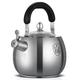 Whistling Kettle 316 Stainless Steel Stove Top Whistling Kettle Teapot with Spout Cover Hot Water Boiler Tea Kettle Stainless Steel Kettle (Color : Steel, Size : 4L)