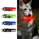 Collier lumineux LED aste par USB pour chien collier clignotant étiquette d'air marche en plein