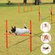 Équipement d'entraînement d'agilité pour chiens ensemble d'entraînement d'obstacles portable pour