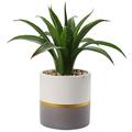 Briful Succulents Artificial Plants Fake Agave Aloe Plants in Gold and Dark Grey Ceramic Pot 9.8" Tall Small Faux House Plant Indoor for Home Office Table Livingroom Bookshelf Decorations