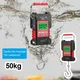 Balance électronique portable avec hameçon à poisson balance à bagages LCD numérique règle à
