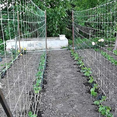 Filet en treillis pour plantes, filet de culture en polyester résistant, filet en treillis de jardin à mailles carrées pour plantes grimpantes, légumes, fruits et fleurs