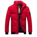 Homme Manteau d'hiver Veste d'Hiver Doudoune Veste matelassée Poche Poche zippée Sortie Casual Quotidien Randonnée Coupe Vent Chaud Hiver Couleur monochrome Noir Rouge Vert Gris Doudoune