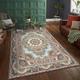 tapis exotique style ethnique américain persan salon hôtel chez l'habitant maison chambre pleine tapis