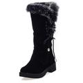 Femme Bottes Bottes de neige Chaussures en daim du quotidien Couleur Pleine Doublé en Polaire Bottes mi-mollet Hiver Lacet Talon Bottier Bout rond Minimalisme Cuir Nubuck Faux suède Lacet Brun fonc