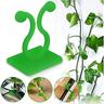 20pcs plantes grimpantes clips de montage mural, fixateur de vigne invisible crochet auto-adhésif plante vigne traction mur vignes montage mur collant crochet vignes clip de fixation support de vignes