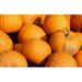 Jack O Lantern Pumpkin Seeds 20 Ct Halloween Vegetable NON-GMO USA