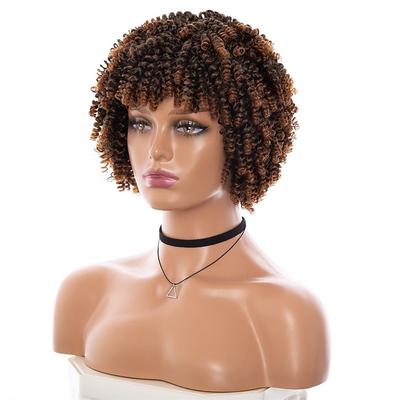 Gray Wigs for Black Women Afro Wigs Short Curly Wigs Kinky Curly Wig with Bangs Natural Hair Wigs