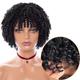 Gray Wigs for Black Women Afro Wigs Short Curly Wigs Kinky Curly Wig with Bangs Natural Hair Wigs