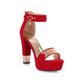 Women's Heels Sandals Ankle Strap Sandals Party Daily Solid Colored Platform Low Heel Chunky Heel Open Toe Elegant Sexy Suede Ankle Strap Black Red Royal Blue