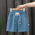 Kids Boys Shorts Solid Color Comfort Shorts Outdoor Adorable Daily Black Navy Blue Royal Blue Mid Waist