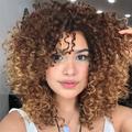 Curly Wigs for Black Women 14 Inches Soft Curly Afro Wigs With Bangs Premium Synthetic Brown Mixed Blonde Curly Wigs Curly Full Wig for Black Women Daily Use