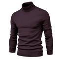 Men's Sweater Pullover Knit Turtleneck Vintage Style Soft Home Daily Clothing Apparel Fall Winter Green Blue S M L / Acrylic / Rib Fabrics / Long Sleeve / Hand wash / Unisex