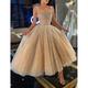 Ball Gown Prom Dresses Corsets Dress Graduation Wedding Party Dress Ankle Length Sleeveless Spaghetti Strap Tulle with Sequin 2024