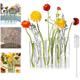 Hinged Flower Vase, 2023 New Creative Foldable Flower Vase Set, Foldable Flower Vase with Hinged Design, Shape Changeable DIY Crystal Glass Test Tube with 6/8 Test Tubes and S-Shaped Hooks