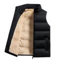 Men's Fleece Vest Gilet Outdoor Camping Hiking Daily Wear Vacation Fashion Basic Fall Winter Zipper Pocket Polyester Windproof Warm Plain Zipper Stand Collar Regular Fit Black Red Dark Blue Vest