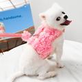 Dog Cat Harness Leash Flower / Floral Color Block Adorable Cute Dailywear Casual / Daily Dog Clothes Puppy Clothes Dog Outfits Adjustable Purple Pink Costume for Girl and Boy Dog Polyester S M L