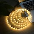 LED Light Strips USB Interface or AA Battery Box Power Supply Flexible 2835 SMD Per Meter 60 LEDs 8mm Warm White Cold White 5V LED Light Strip