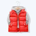 Kids Unisex Vest Coat Outerwear Solid Color Letter Sleeveless Coat School Cool Adorable Daily Colorful disposable vest-blue Colorful disposable vest-pink Colorful disposable vest-sky blue Spring Fall