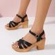 Women's Sandals Block Heel Sandals Ankle Strap Sandals Outdoor Office Daily Solid Color Summer Chunky Heel Elegant Vintage Fashion PU Buckle Black White Camel