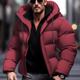 Men's Winter Coat Winter Jacket Puffer Jacket Zipper Pocket Polyster Pocket Outdoor Date Casual Daily Regular Fashion Casual Thermal Warm Windproof Winter Plain Wine Black Navy Blue Gray Puffer Jacket