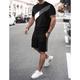 Men's 2 Pieces Outfits T-Shirt and Drawstring Shorts Set Color Block Crewneck Casual Daily Wear Short Sleeve 2 Piece Clothing Apparel Fashion Sport Casual