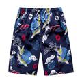 Men's Board Shorts Swim Shorts Swim Trunks Summer Shorts Beach Shorts Pocket Drawstring Straight Leg Animal Plaid Color Block Comfort Knee Length Outdoor Daily Holiday Streetwear Casual 1 2