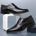 Men's Oxfords Casual Shoes Derby Shoes Brogue Dress Shoes Wingtip Shoes Business British Wedding Party Evening PU Lace-up Black White Brown Spring Fall