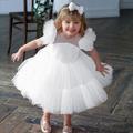 Flower Girl's Dress Kids Girls' Party Dress Solid Color Short Sleeve Wedding Birthday Lace Adorable Princess Beautiful Cotton Midi Party Dress Spring Fall Winter 3-12 Years White Light Green Pink