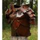 Retro Vintage Medieval Renaissance Steampunk 17th Century Armor Shoulder Armor Chest Guard Warrior Viking Shieldmaiden Unisex Halloween LARP Shoulder Armor