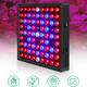 LED Grow Lights Full Spectrum 30/50/80W 81-312 LED Beads Easy Install For Greenhouse Hydroponic Growing Light Fixture 85-265 V Vegetable Greenhouse