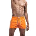 Men's Board Shorts Swim Shorts Swim Trunks Elastic Waist Quick Dry Bathing Light Blue Black