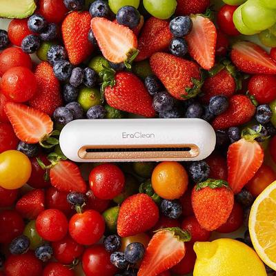 Ozone Refrigerator Deodorizer - Eliminates Odors and Bacteria for Fresher Food