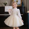 Kids Girls' Party Dress Solid Color Short Sleeve Long Sleeve Formal Performance Wedding Sequins Ruched Princess Beautiful Polyester Knee-length Party Dress Flower Girl's Dress Spring Fall Winter 3-12