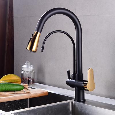 Kitchen faucet - Two Handles One Hole Electroplated / Painted Finishes Pull-out / Pull-down / Tall / High Arc / Purified water Centerset Modern Contemporary Kitchen Taps