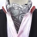 Men's Ties Cravat Ascot Work Striped