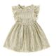 Kids Girls' Dress Party Dress Solid Color Short Sleeve Wedding Special Occasion Birthday Lace Ruffle Fashion Elegant Princess Cotton Lace Knee-length Party Dress Lace Dress A Line Dress Summer Spring