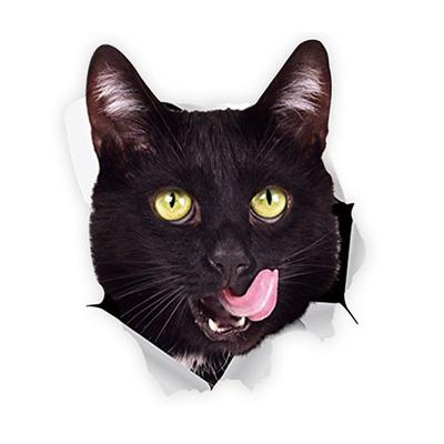 Winston Bear 3D Cat Stickers - 2 Pack - Black Cat Wall Decals - Cat Wall Stickers for Bedroom - Fridge - Toilet - Car - Retail Packaged