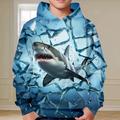 Boys 3D Shark Hoodie Pullover Long Sleeve 3D Print Spring Fall Fashion Streetwear Cool Polyester Kids 3-12 Years Hooded Outdoor Casual Daily Regular Fit