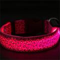 Pet Collar Rechargeable And Luminous For Walking Dogs At Night Led Flashing Dog With Night Light Warning For Preventing Dogs And Cats