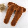 1 Pair Warm Insole Inserts / Plush Insole / Foot Warmer Insole Nylon Sole Fall / Winter Unisex Brown