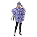 Fruit Grape Foodie Cosplay Costume Funny Costumes Adults' Men's Women's Funny Costume Performance Party Halloween Carnival Masquerade Easy Halloween Costumes Mardi Gras