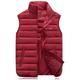 Men's Puffer Vest Gilet Outdoor Daily Wear Vacation Going out Fashion Basic Fall Winter Pocket Polyester Warm Letter Zipper Stand Collar Regular Fit Black Red Blue Army Green Vest